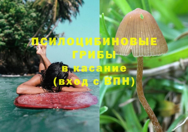 соль курить ск Абаза